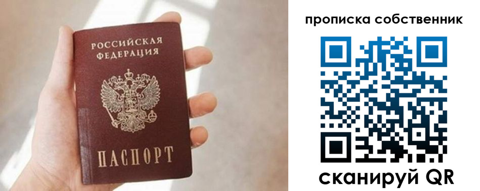 прописка в Светлограде