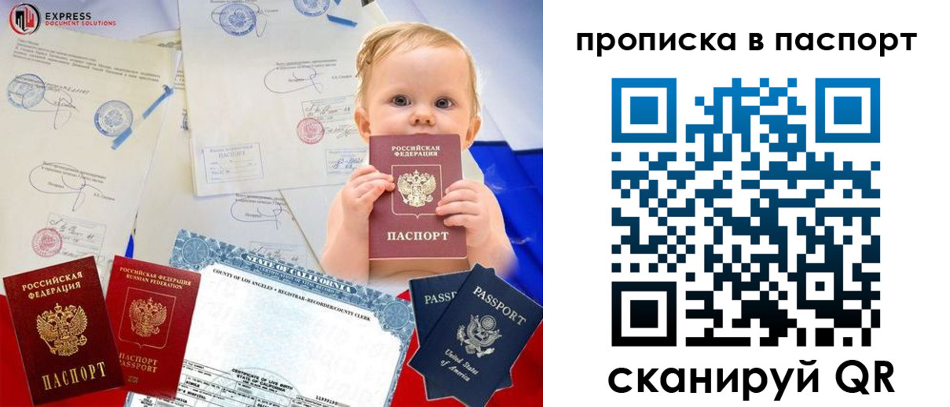 прописка гарантия в Светлограде